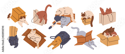 Cats in boxes set. Cute funny kitties in cardboard cartons and paper bags. Feline pets hiding in packages, lying inside. Curious animals. Flat graphic vector illustration isolated on white background photo