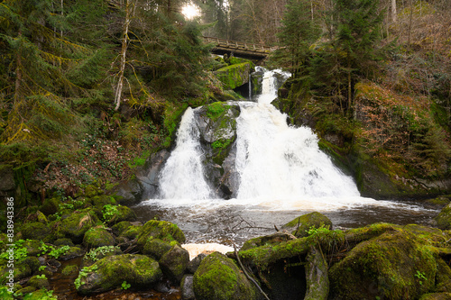 Triberg waterfall in the Black Forest, highest fall in Germany, Gutach river plunges over seven major steps into the valley, wooden bridge photo