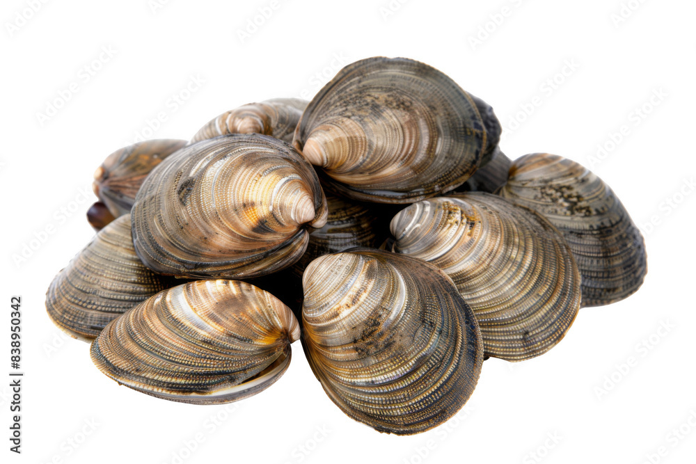 A pile of clams with their shells still on them A pile of clams with their shells still on them