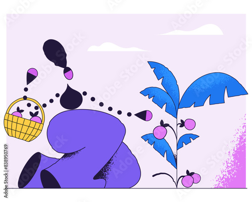 Picking fruits