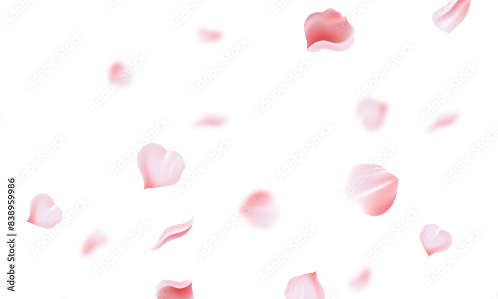 Sakura flying petals on white background design