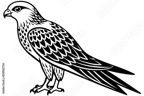 falcon bird silhouette vector illustration
