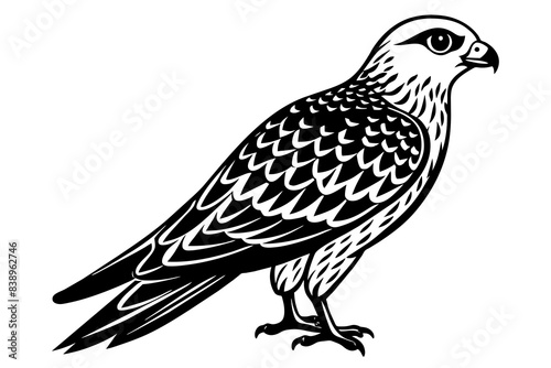 falcon bird silhouette vector illustration © Shiju Graphics