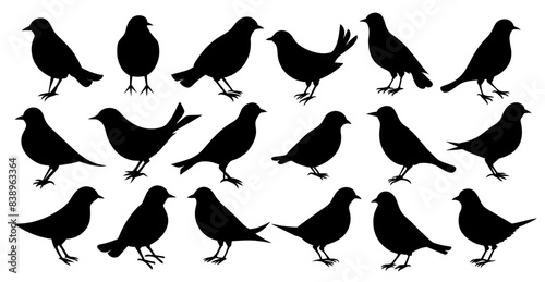 set of lark birds icon silhouette vector illustration