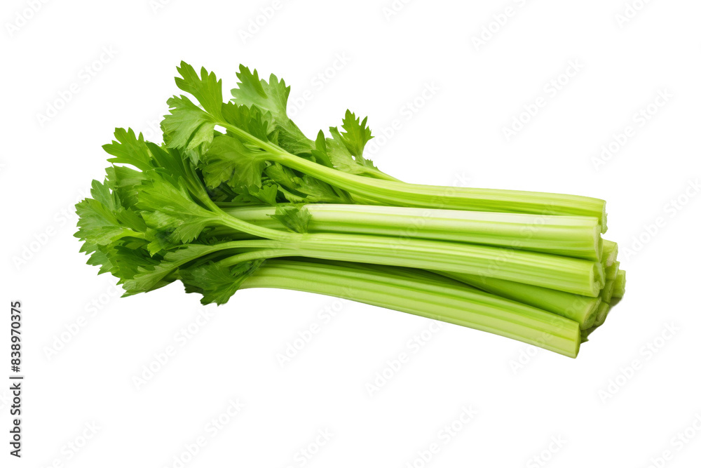 Whispers of Nature: A Symphony of Celery on a White or Clear Surface PNG Transparent Background.. Whispers of Nature: A Symphony of Celery on a White or Clear Surface PNG Transparent Background..