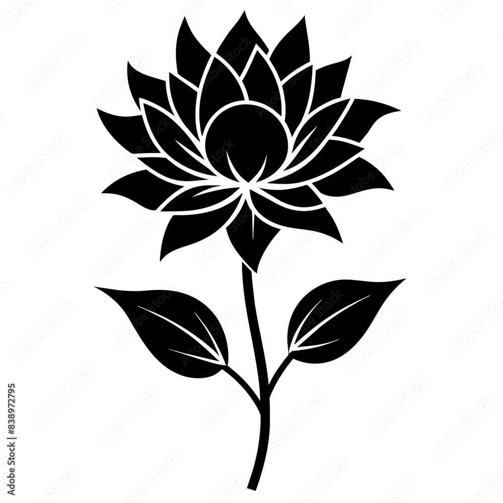 black and white flowers black and white flowers