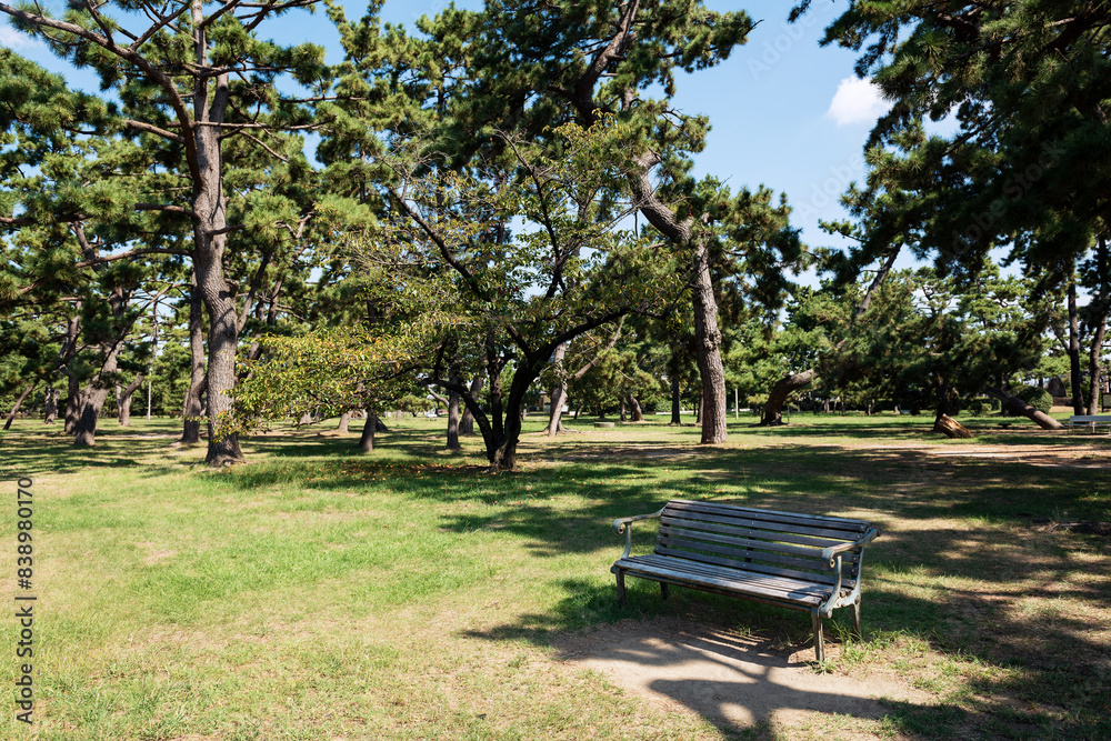 浜寺公園の風景 浜寺公園の風景