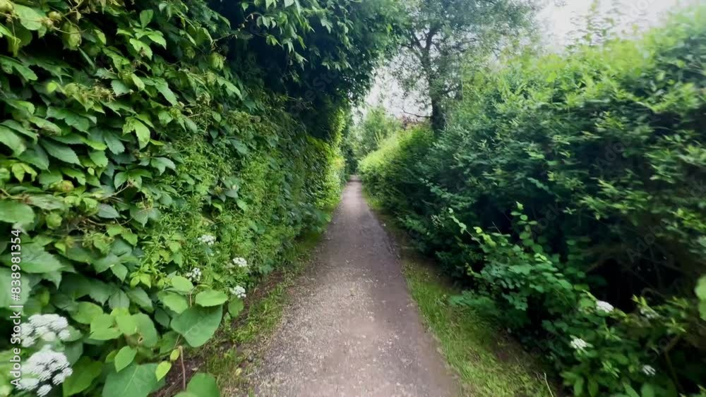 Walking through a narrow footpath surrounded by green bushes and trees on a cloudy summer day Walking through a narrow footpath surrounded by green bushes and trees on a cloudy summer day