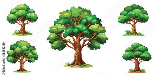 Collection of evergreen forest plants isolated on white background.
