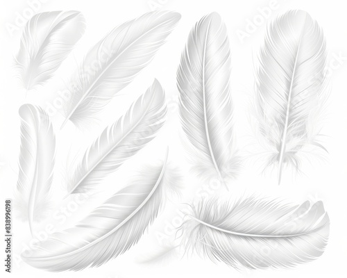 Bird Feather. Set of White Angel Feathers Isolated on White Background