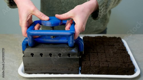 Using soil blocker to create soil blocks. Soil blocking is an ingenious, economical, and ecofriendly seed starting method. photo