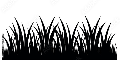 grass silhouette on a transparent background