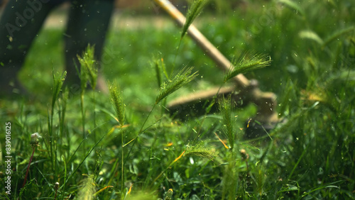Lawn trimming with handheld string trimmer grass cutter and mower