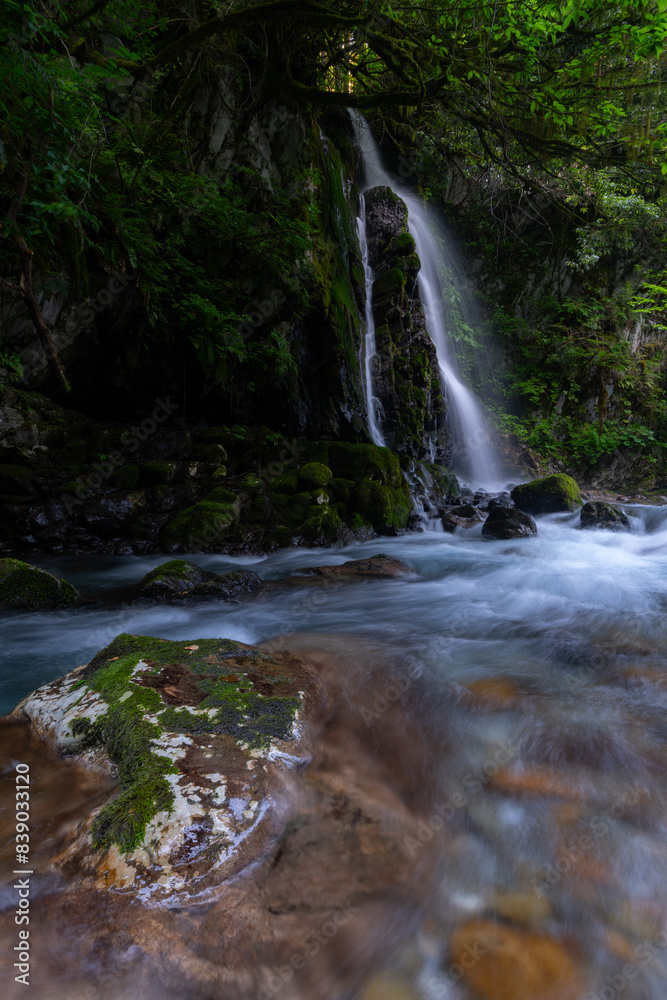 Obraz premium 美しい滝のある風景