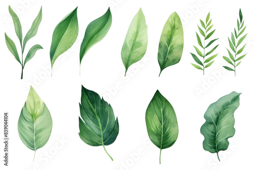 Wallpaper Mural Dance of the Emerald Leaves on a White or Clear Surface PNG Transparent Background.. Torontodigital.ca