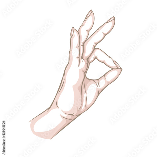 hand gestures Ok sketch vector