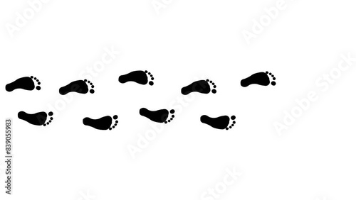 Animated Feet Dynamic Animation of Human Walking Footprints 4K Alpha Channel