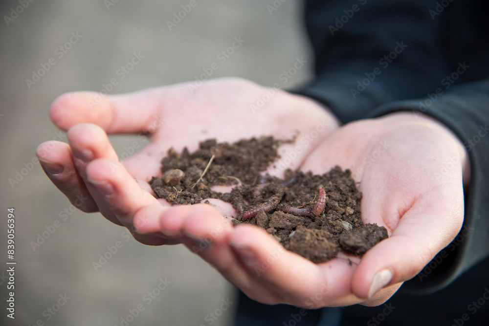 Germnay, Hands holding soil with worms Germnay, Hands holding soil with worms