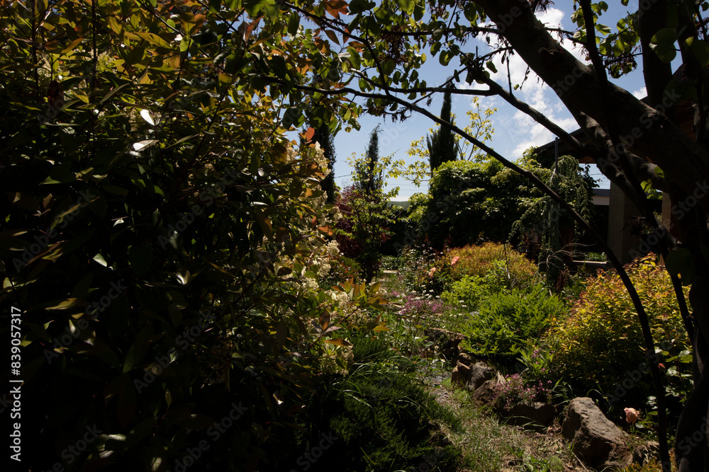 Garden in house yard Garden in house yard