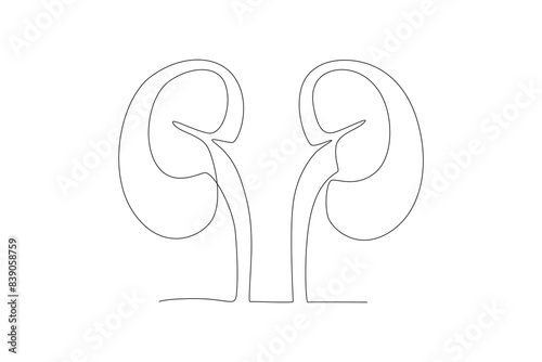 A pair of kidneys. Organ donation day concept one-line drawing