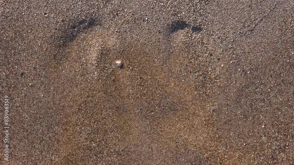 woman legs or baby boy,kid,child barefoot feet on sand beach.girl is relaxing against sea or ocean.water waves washing steps, or heart shape.warm summer sunny day woman legs or baby boy,kid,child barefoot feet on sand beach.girl is relaxing against sea or ocean.water waves washing steps, or heart shape.warm summer sunny day