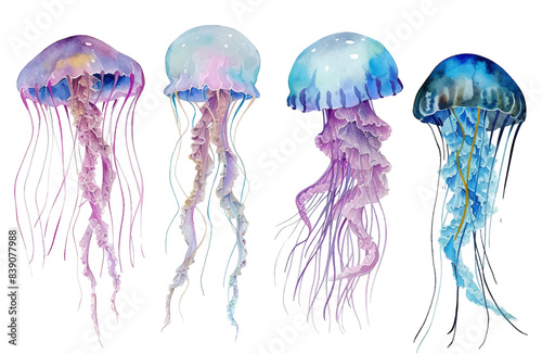Set of colorful jellyfish swimming marine creatures watercolor vector Illustrations
