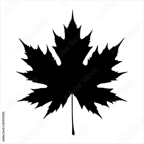 Black maple leaf silhouette isolated on white background. Maple leaf icon vector illustration design.