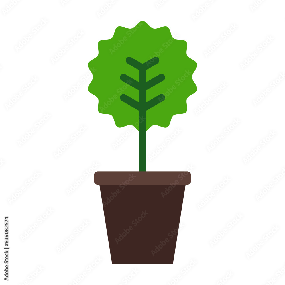 Fotografija Myrtus Flat icon