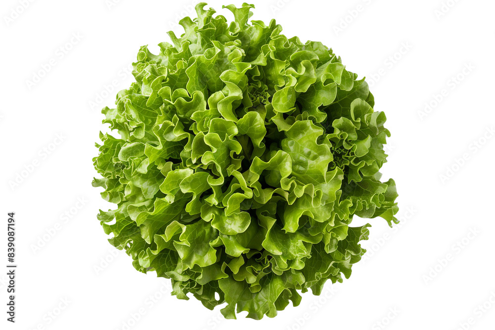 Obraz premium Green lettuce top view isolated on transparent background