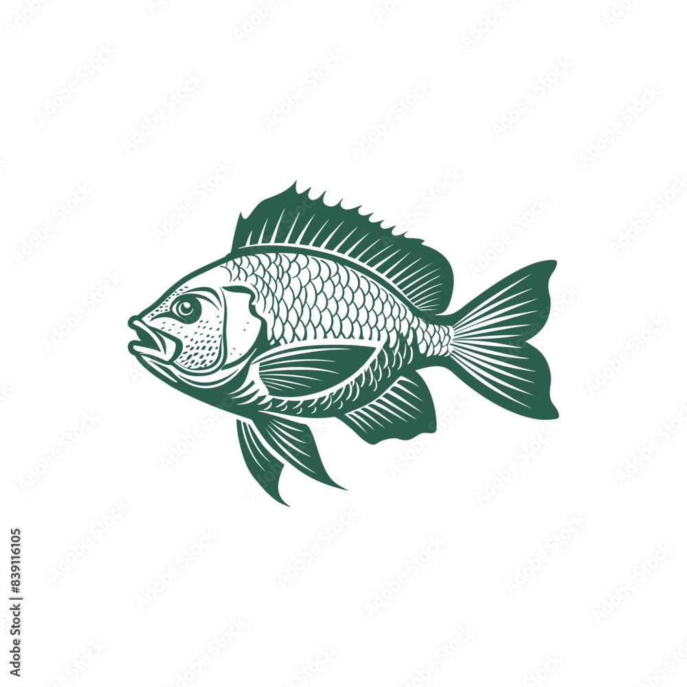 Vector illustration of Tilapia fish isolated on white background. Tilapia fish glyph icon. Badge for design seafood packaging. Logo Design for Fish Farming Business