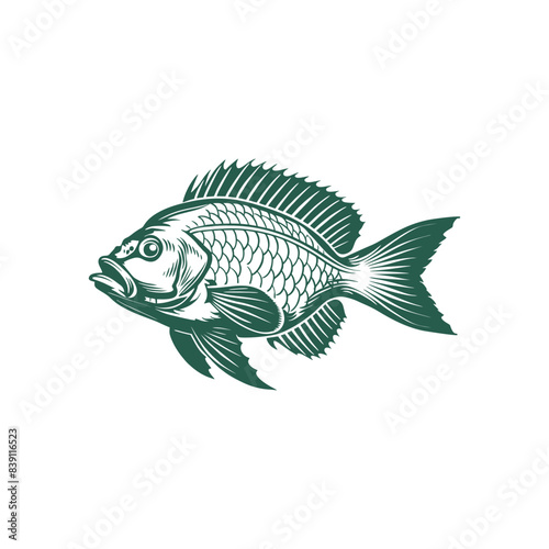 Vector illustration of Tilapia fish isolated on white background. Tilapia fish glyph icon. Badge for design seafood packaging. Logo Design for Fish Farming Business