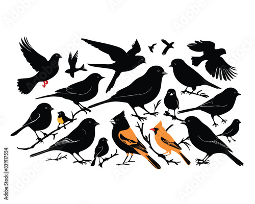 Diverse Bird Silhouette Vector Illustration Collection featuring Various Flying and Perched Graphics