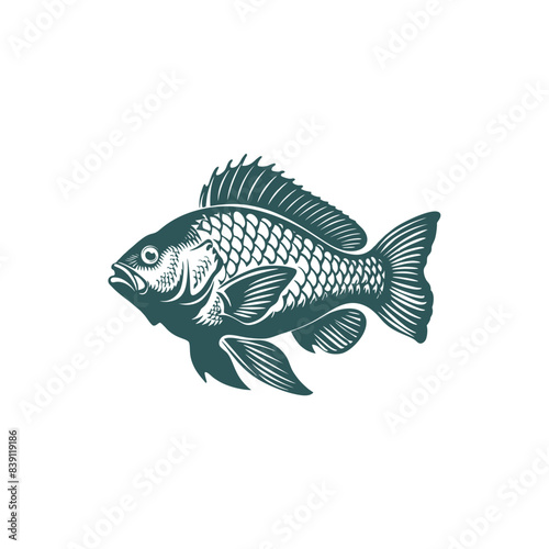 Vector illustration of Tilapia fish isolated on white background. Tilapia fish glyph icon. Badge for design seafood packaging. Logo Design for Fish Farming Business
