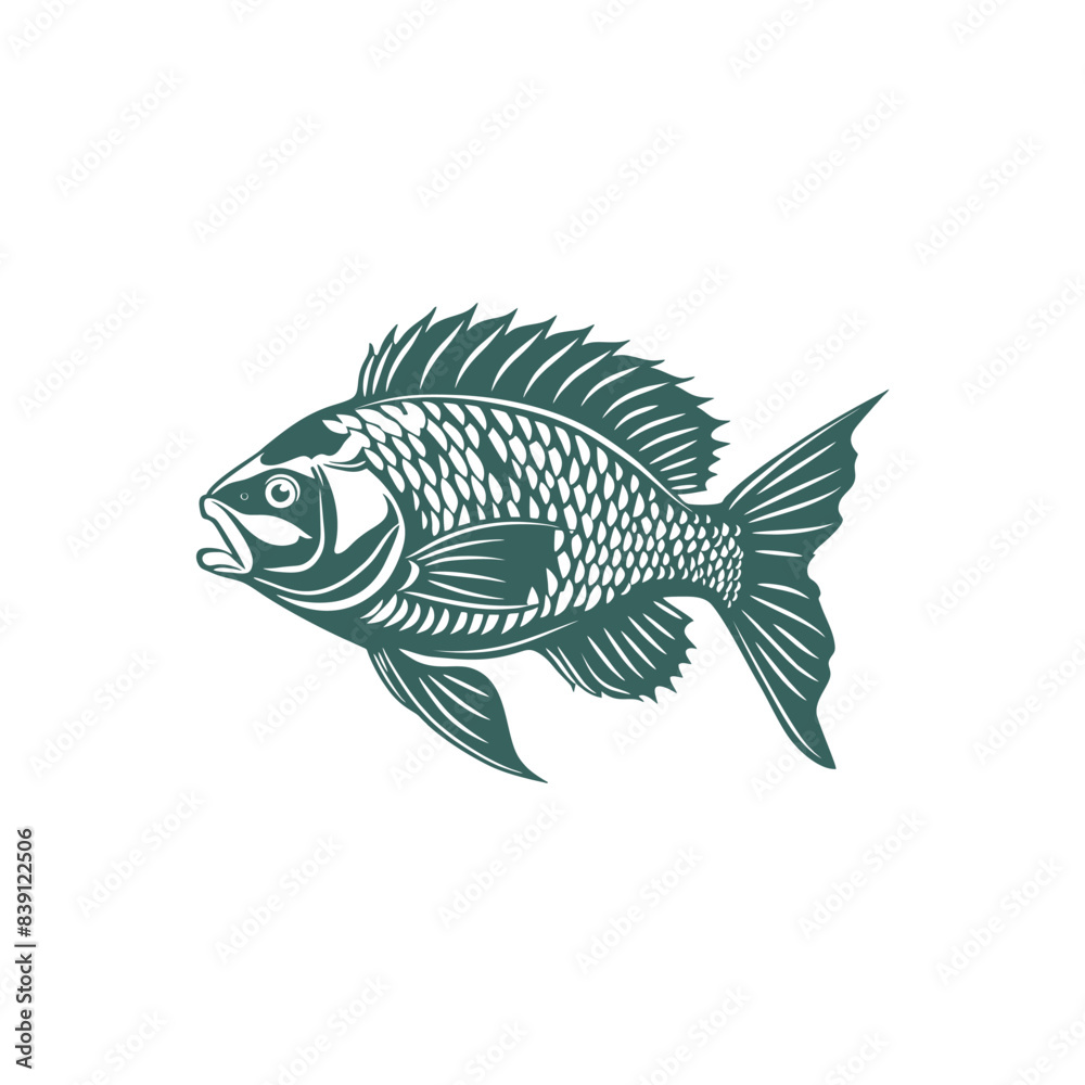 Vector illustration of Tilapia fish isolated on white background. Tilapia fish glyph icon. Badge for design seafood packaging. Logo Design for Fish Farming Business Vector illustration of Tilapia fish isolated on white background. Tilapia fish glyph icon. Badge for design seafood packaging. Logo Design for Fish Farming Business