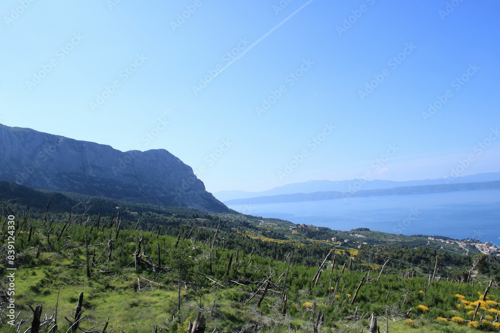 the lovely green nature of National park Biokovo near Makarska, Croatia the lovely green nature of National park Biokovo near Makarska, Croatia