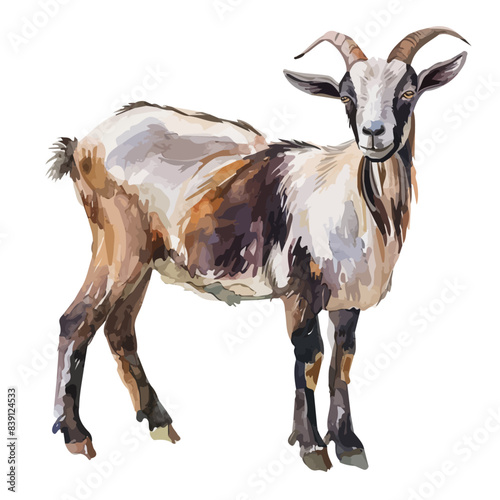 Watercolor drawing clipart of a Goat, isolated on a white background, Illustration painting, Goat vector, drawing, design art, clipart image, Graphic logo