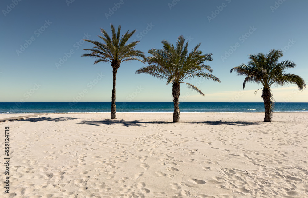 Three palm trees on white sand solitary beach with blue ocean in the background.