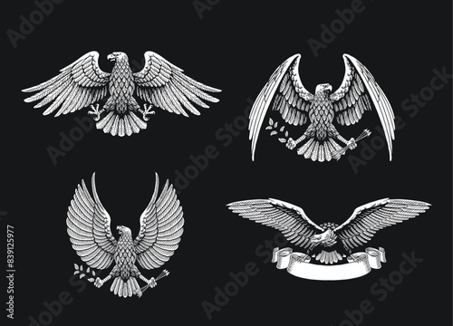 Set of Bald Eagle Vector Illustration