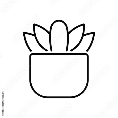 Succulent vector icon