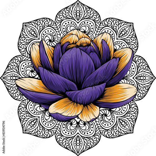 Beautiful flower Lily Lotus vector illustration design