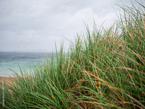 Tall green grass on a sandy dune and stunning turquoise color ocean water and blue cloudy sky. West coast of Ireland. Calm and relaxing mood. Travel and tourism. Irish landscape.