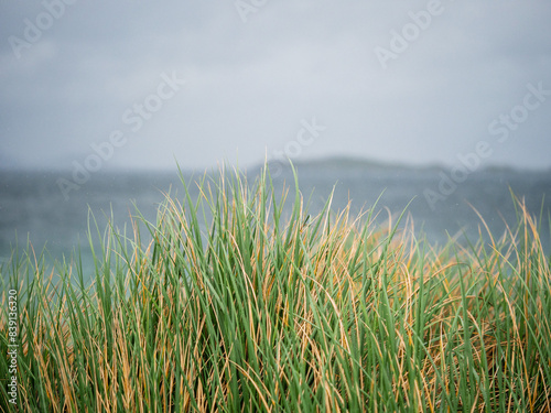 Tall green grass on a sandy dune and stunning turquoise color ocean water and blue cloudy sky. West coast of Ireland. Calm and relaxing mood. Travel and tourism. Irish landscape.