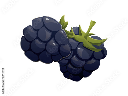 Black ripe blackberries. Vector isolated cartoon illustration.