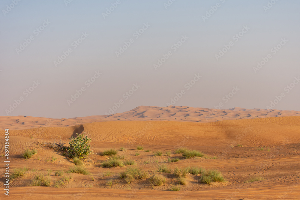 Scenic view of desert against clear sky in Dubai City, UAE. Scenic view of desert against clear sky in Dubai City, UAE.