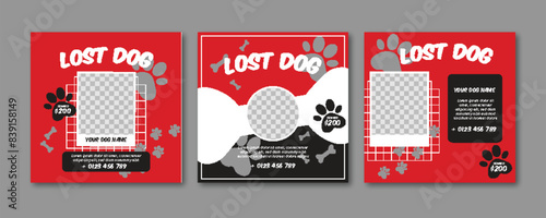 Missing Dog Social Media Post, Premium Vectors