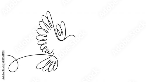 Dove with olive branch. Symbol of peace. Continuous drawing line art. Hand-drawn one line. Concept of volunteering, charity and love. 4k animation