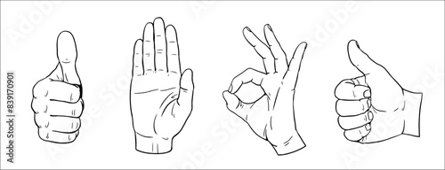 Vector drawing of Hand gesture and sign language. Thumb up, Stop sign and OK gesture.