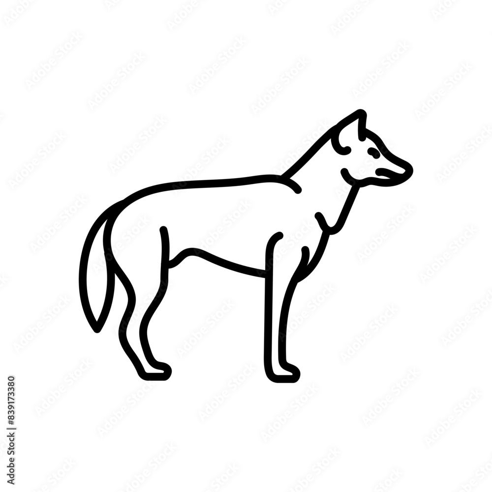 Obraz premium Dingo Outline Icon, Vector illustration