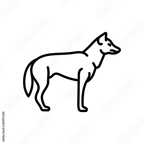 Dingo Outline Icon, Vector illustration