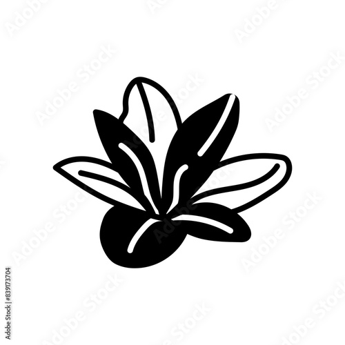 Colhicum Flowers Glyph Icon, Vector illustration photo